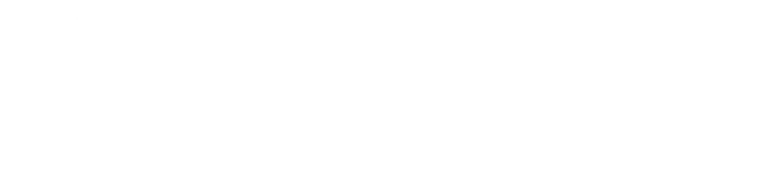 Mesh403